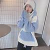 Women's Cute Shark Hooded Sweatshirt - Loose Fit, Korean Style, 2025 Autumn/Winter Lamb Wool