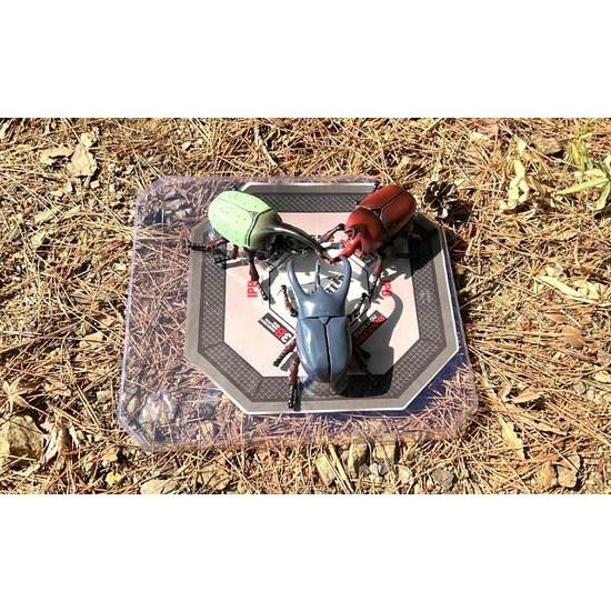 Insect King Stadium Battle Game Set, Popular Toys In Korea