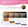 Cielo 1Day Gray Dark Before Going Gray Hoyu Concealer, Brown, Out, One-Day Dye,