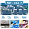 Professional Custom PU Overgrip Universal Indoor and Outdoor Racket Sports Accessories