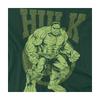 Spider-Man: Brand New Day Unisex Adult Hulk T-Shirt