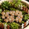 Window Display Gothic Decor 20Pcs Creative Miniature Skull Figurines, Cool Statues for Garden Bonsai Ghost Festival Table Accents Decoration,