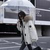 Blue big fur collar tooling Parker down cotton clothes women's winter new small man fleece thickened coat