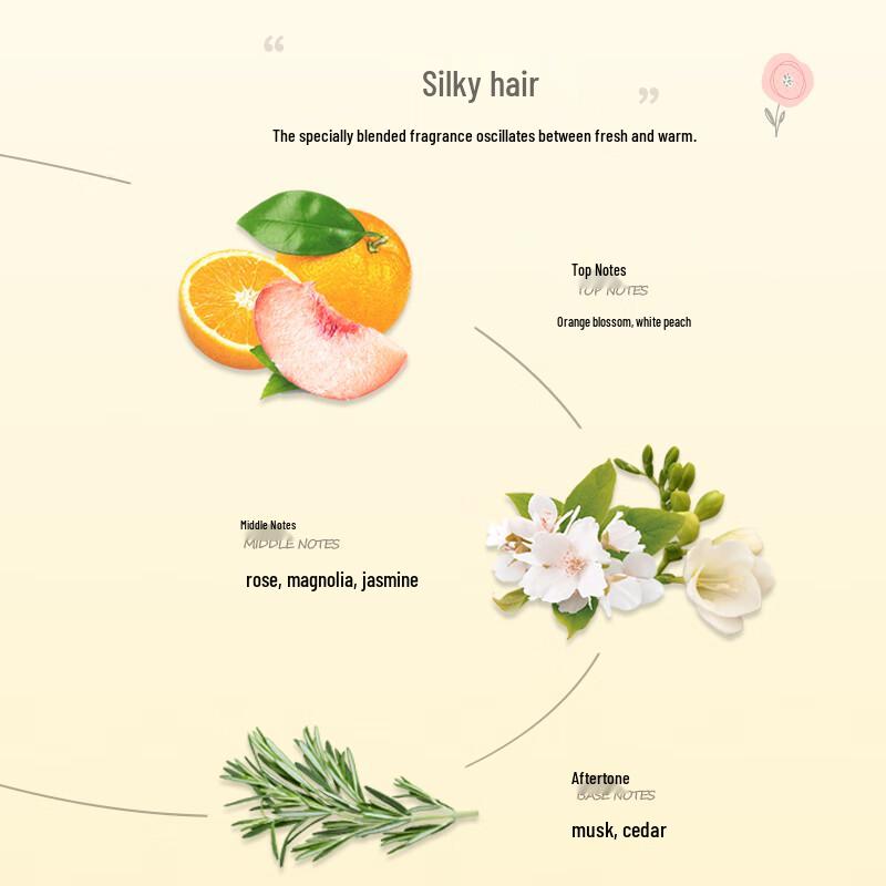 Set Essenza Linken per Capelli e Corpo
