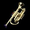 Children Trumpet Kids Trumpet with 4 Colored Keys for Early Developmental Toy
