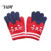 Kids Comfortable Warm Gloves for Cycling 1 Pair Winter Gloves, Cozy Thick Lined Mittens with Flexible Knitted Writing Playing Cute Cat Pattern,