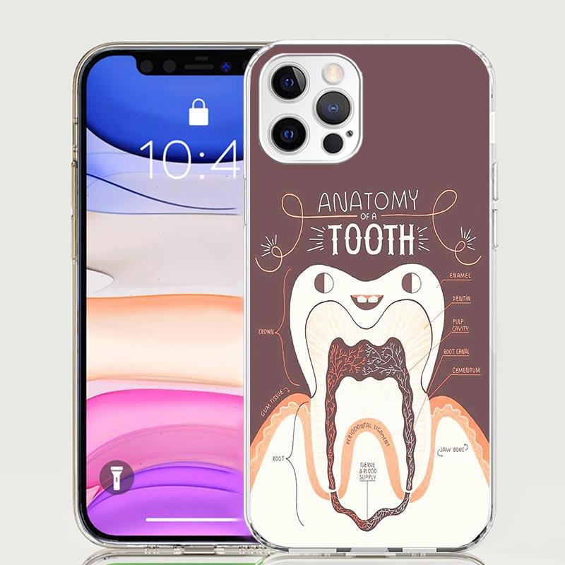 Wisdom Teeth Dentist Tooth Case Phone Cover for Apple iphone 16 15 14 13 12 Mini 11 Pro Max 16E X XS XR 7 Plus 8 + SE 2020 Trend