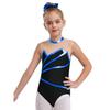 Girls Gymnastics Leotard: Metallic Striped Sheer Mesh Patchwork Keyhole Back Sleeveless Bodysuit for Dance Performance