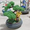 [USED] Pokemon Pocket BONSAI Pikachu, Vulpix, Politoad, Lucario