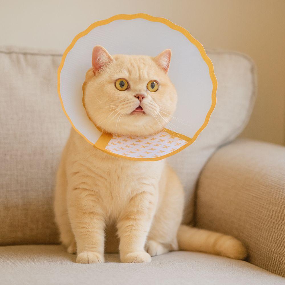 Anti-Chew Cat Elizabethan Collar Adjustable Dog Anti-Bite Collar Cat Protective Collar  Pet Care