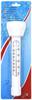 Schwimmendes Poolthermometer, Leichtes Design, Groß 22,5 cm
