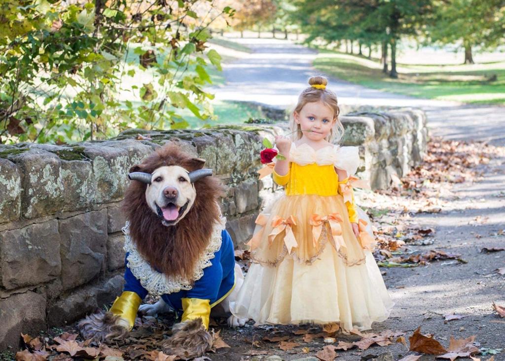 TYHTYM 8-Piece Dress Set (Outfit + Arm Covers + Tiara) for Kids, Princess Dress, Fluffy, Fairytale Character Dress, Perfect for Birthdays, Halloween,