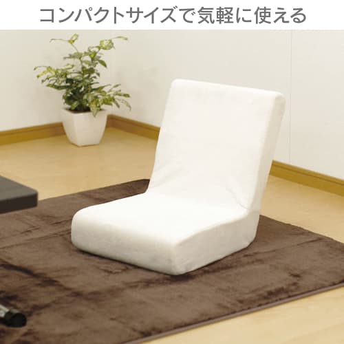 IRIS OHYAMA ZC-9, 2-Way Soft Floor Chair with Pillow, Compact and Foldable (Steel, Urethane Foam, Polyester), Beige