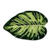 Modern Bathroom Door Mat Super Absorbent Machine Washable NonSlip Shower Floor Mat for Kitchen Bathroom Home Furnishing Rug
