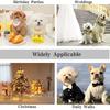 Dog Dress,Pet Wedding Dress Princess Formal Tutu Skirt with Bowknot,Puppy Birthday Party Outfit Apparel Girl for Small Dogs Cats (White Lace,