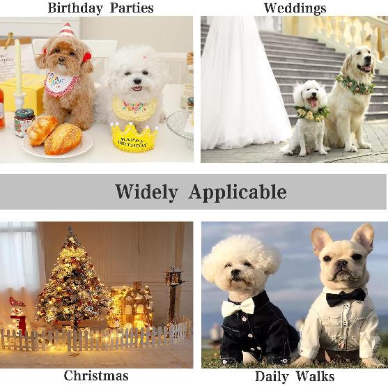 Dog Dress,Pet Wedding Dress Princess Formal Tutu Skirt with Bowknot,Puppy Birthday Party Outfit Apparel Girl for Small Dogs Cats (White Lace,