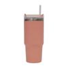 Insulated Stainless Steel Water Bottle with Handle & Straw