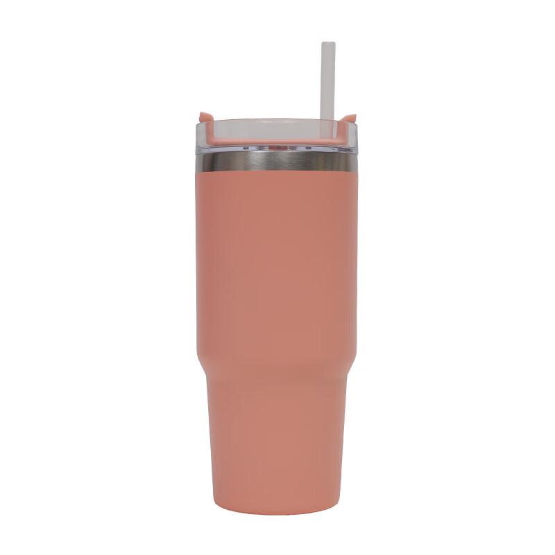 Insulated Stainless Steel Water Bottle with Handle & Straw