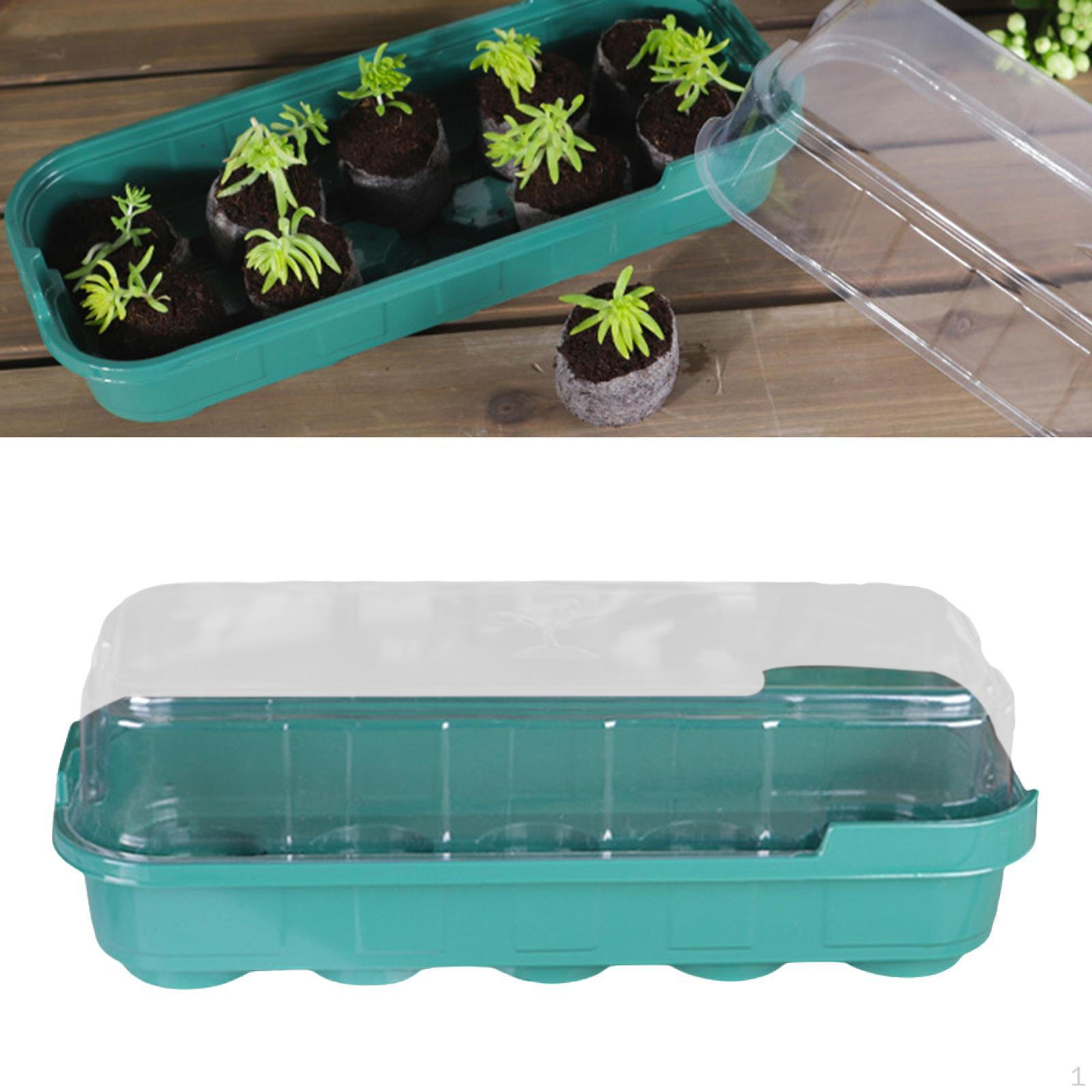 

Seed Propagation Tray for Greenhouse And Windowsill Use