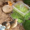 Rutin Chicken Automatic Food Feeder Large Capacity Anti-overturning Food Box Small Animal Feeding Supplies