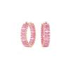 Matrix Hoop Earrings 5657726