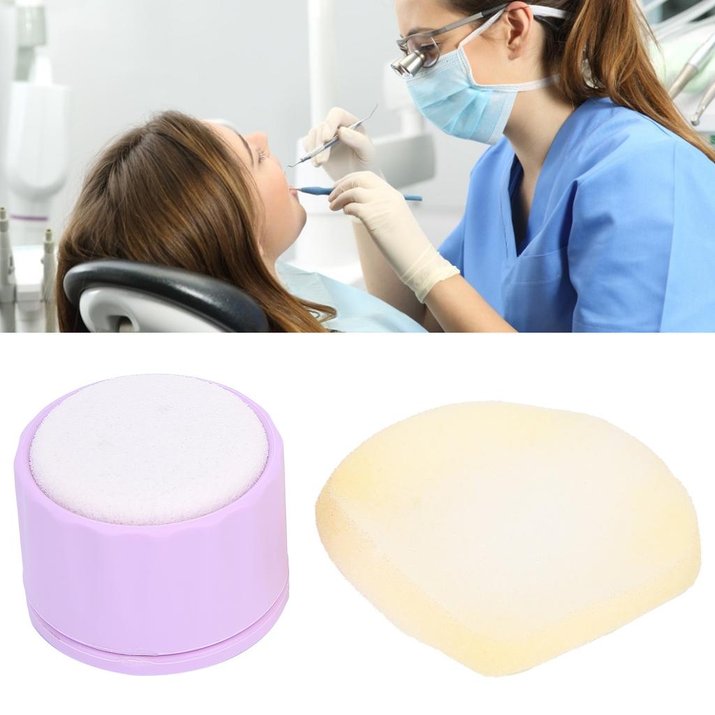 Dental Endo File Clean Stand Holder Sponge Endodontics File Cleaning Sponge Dental Accessory Purple