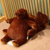 Cute Brown Teddy Bear Hug Pillow Plush Toy - Big Bear Doll Gift