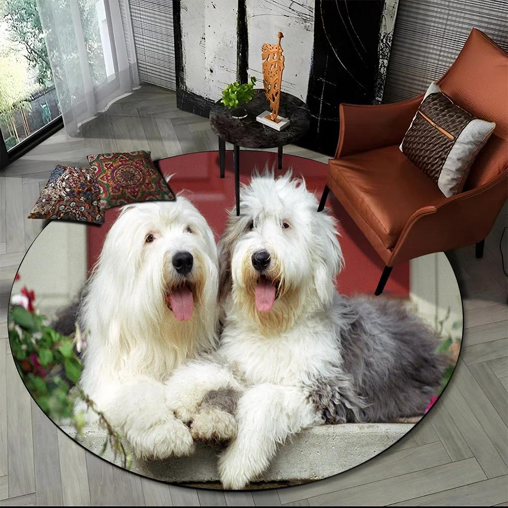 Cute Dog Samoye, Chihuahua, Husky, Koki Cartoon Round Area Rug,Carpet Rug for Living Room Bedroom Sofa Playroom Decor,Non-slip