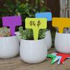 100PCS Thickened Stake Tags Moisture-proof Markers Label Garden Tools T-type Tags  Potted Plants
