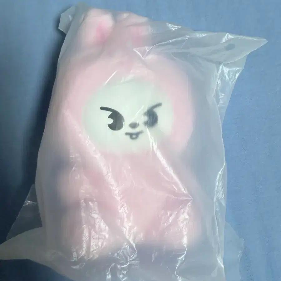 STRAY KIDS (sealed_Below Cost) Fan Meeting MD Ski Resort Plusle Toy_Piggy
