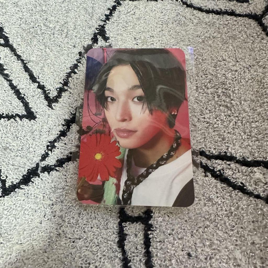 [USED] NCT WISH Songbird First Edition CD Trading Card Request Set