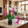 Lifelike Simulation Orchid Flowers 5 Heads Faux Phalaenopsis Fake Flower  Outdoor Garden Decor
