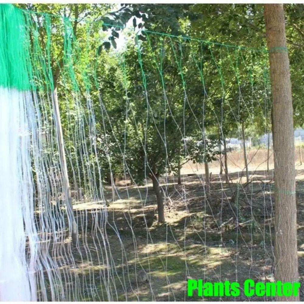 Reusable Climbing Vine Net 2x100 M Vegetable Trellis New Plant Climbing Net  Pond Pool Protection