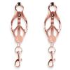 Colorful Metal Nipple Clamps With Chain Set Woman Rainbow Nipple Clips Breast Bondage Restraint Slave Fetish Female Sex Toy