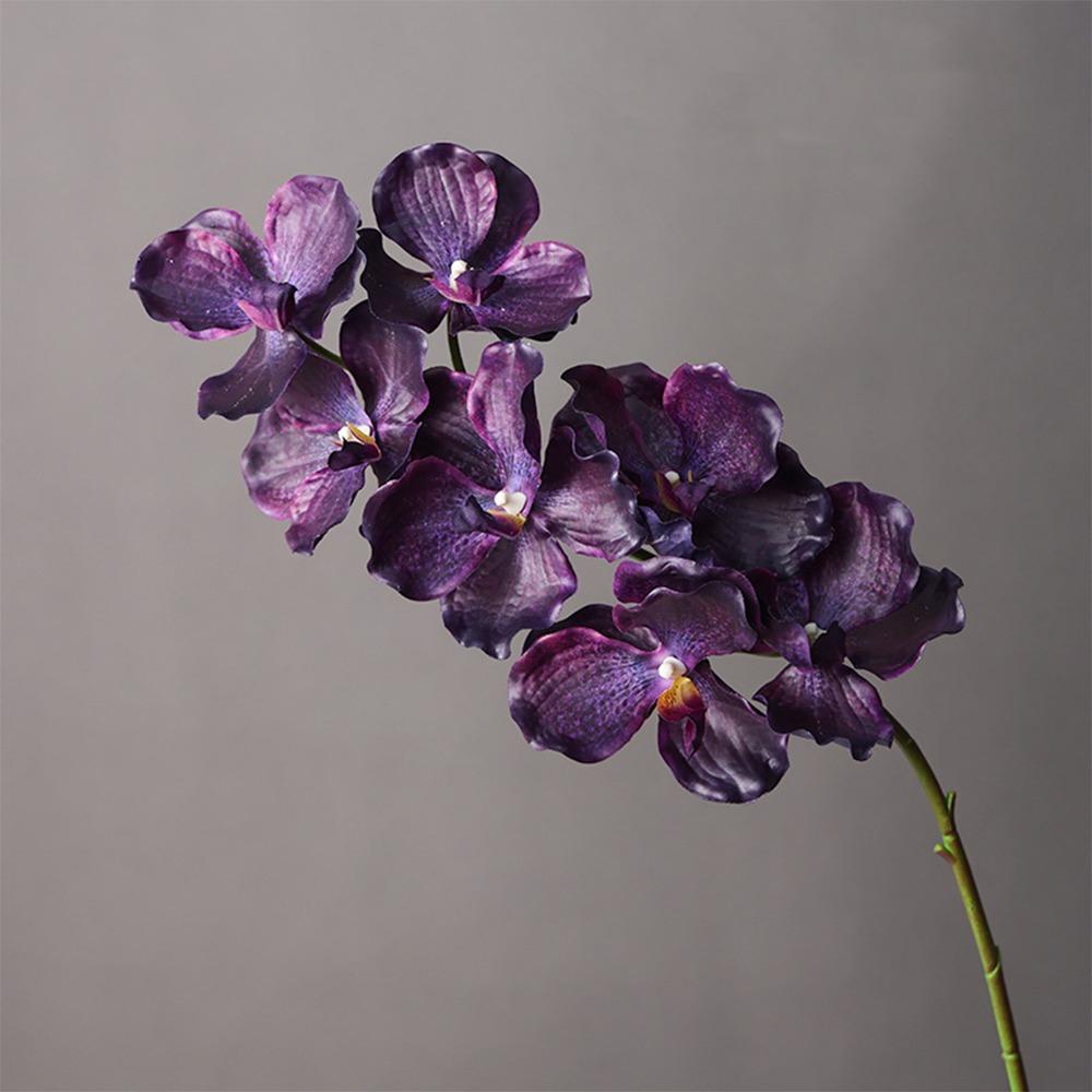 Plastic Phalaenopsis Branch Moisturizing Real Touch Orchids Simulation Flower  Office Decor