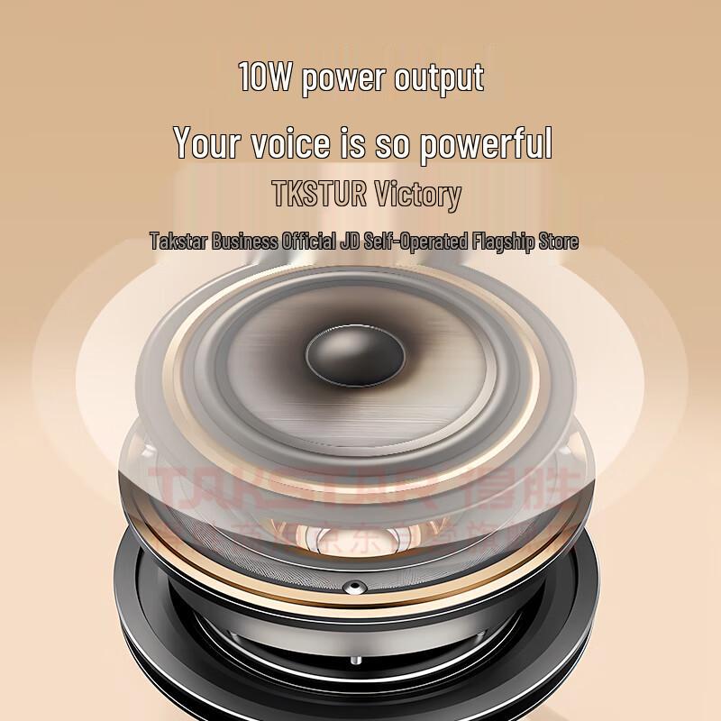 TAKSTAR E150W Portable Wireless Voice Amplifier