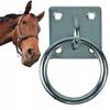 York Ring Holder for Tying a Horse To a Lead Rope, Galvanized - Solid