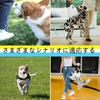 Dog Set of Dog Dog Chew Made of Safe Teeth Easy To Suitable for Medium and Small Lack of Stress Promotes Use for Indoor and Outdoor Use Toys, 2,