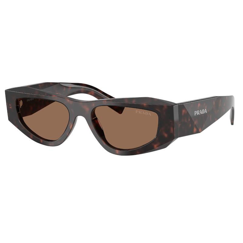

Prada Design Series Acetate Irregular Shape Sunglasses Men sunglasses Tortoise PRB19S17N06B Basic Packaging-Eyeglass Case+Box,53