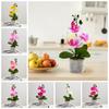 3 Heads Artificial Orchid Flower Advanced Fake Phalaenopsis Bonsai  Party Decor