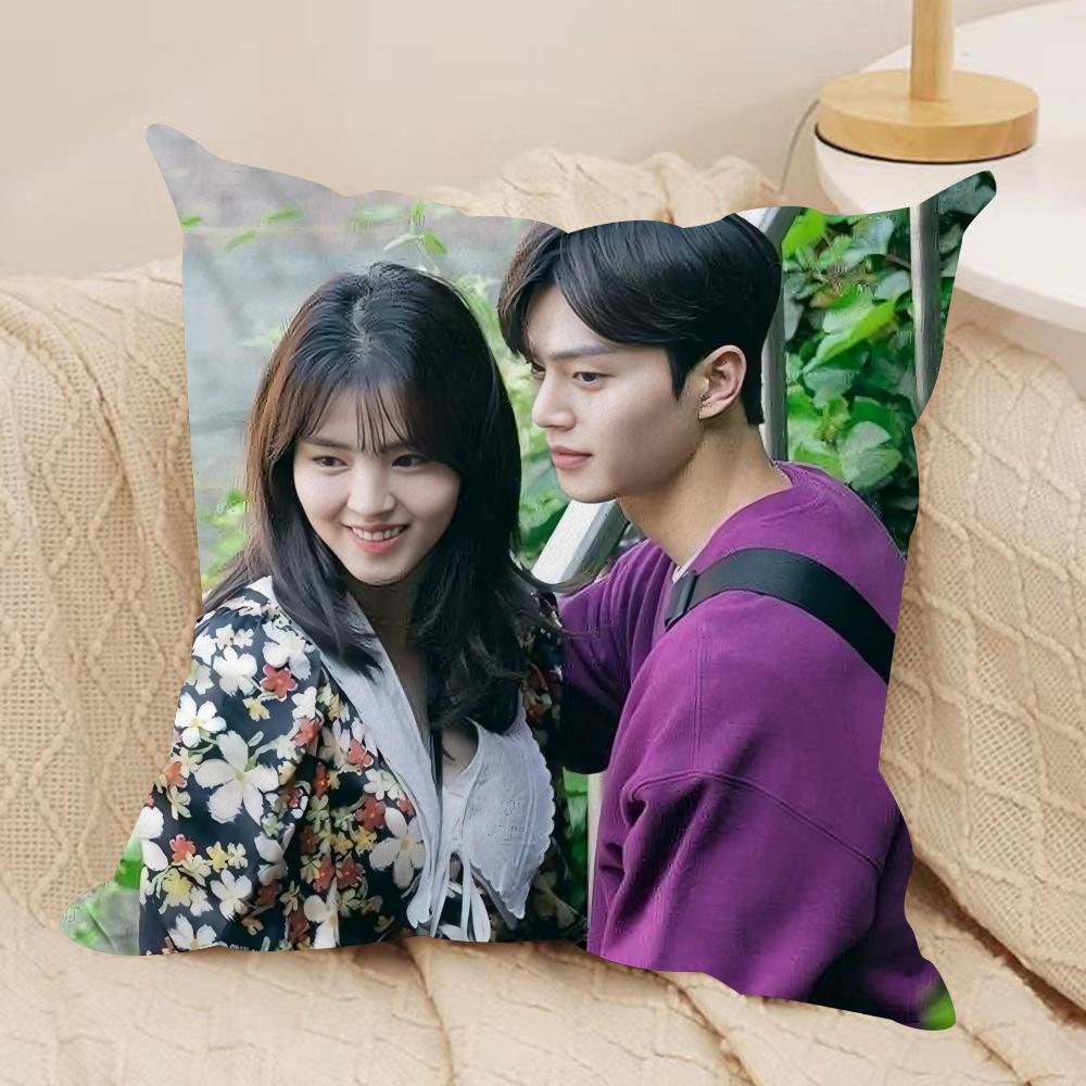 TV series NNevertheless Cushion Cover Silky Short Plush Sofa Pillow Cover Hidden Zipper Soft Dustproof Case for Home Decor