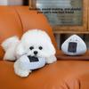 Plush Dog Chew Toy Crinkle Paper Squeaky Interactive Puppy Play Toy Bite Resistant Pet Supplies for Corgi Teddy