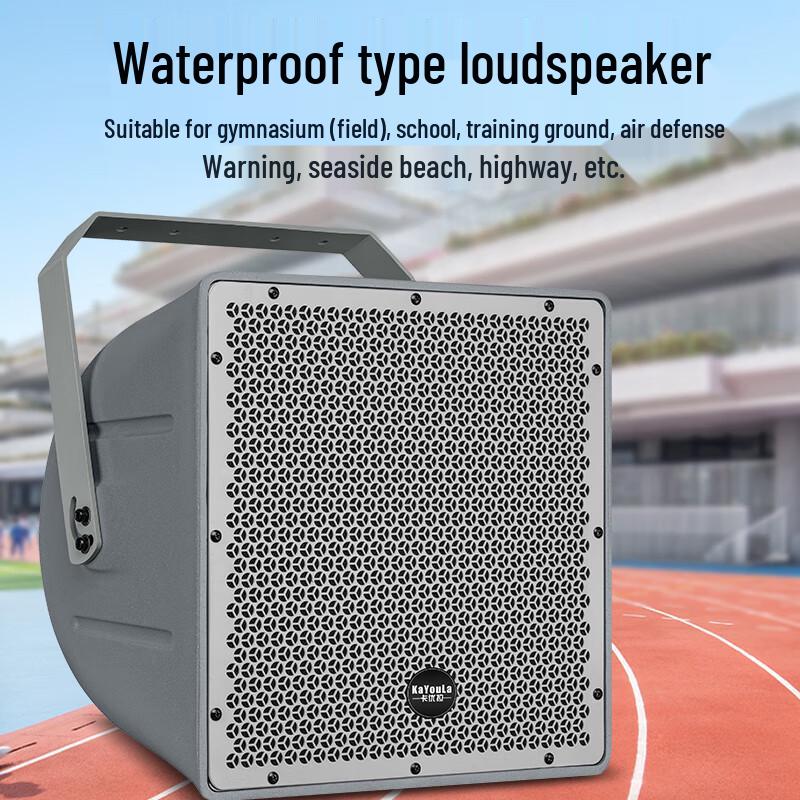 KaYouLa 10-Inch Professional Passive Full-Range Speaker (CN version)