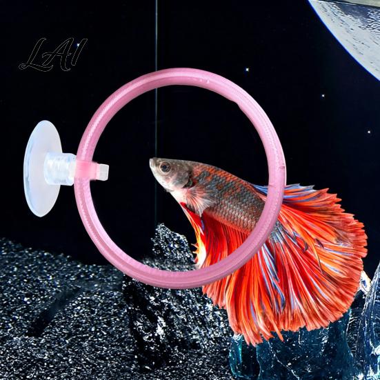 Betta Fish Training Loop 1/3Pcs Exercise Ring with Suction Cup Aquarium Landscaping Supplies Feeding Ring Tank Enrichment Toy Accessories Play Hoop