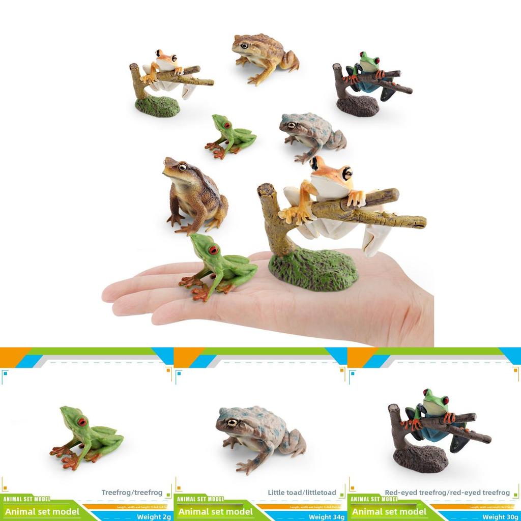 Childrens Wild Animal Pvc Collection With Realistic Tree Frog And Toad Figurines For Educational Play