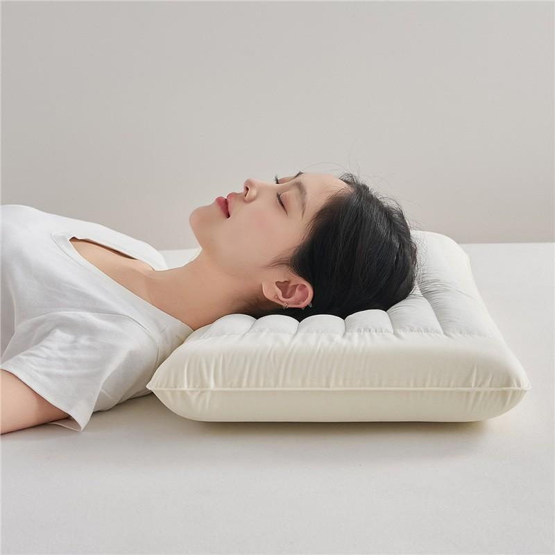 Memory Foam Buckwheat Pillow Neck Support Sleep Aid Low Profile Single Bed With Cotton Cover