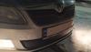 Winter Grille (2011-2014 Top) Matte for Skoda Fabia