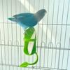 Cuttlefish Bone Holder Parrot Food Feeder Plastic Bird Perch for Budgie Conure