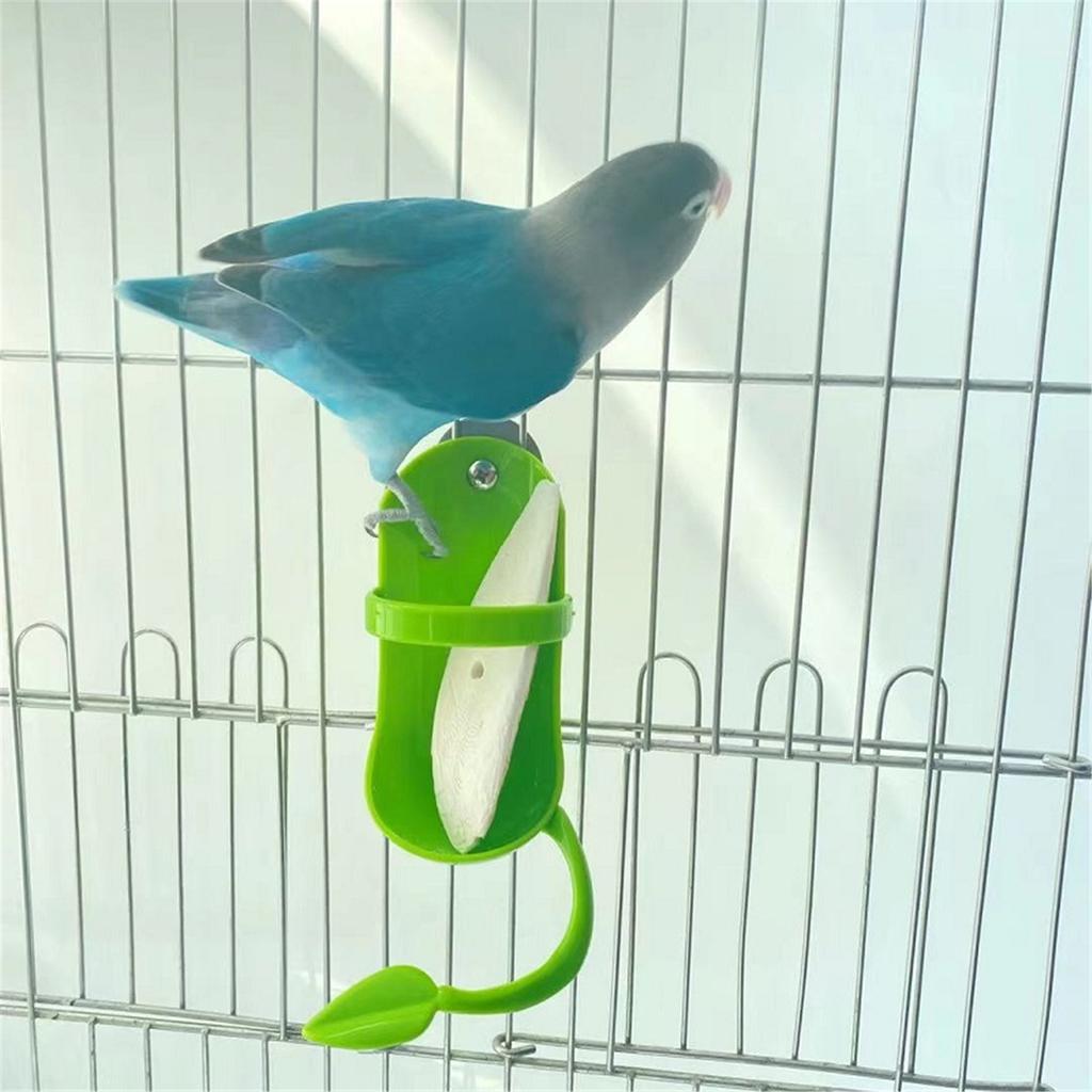 Cuttlefish Bone Holder Parrot Food Feeder Plastic Bird Perch for Budgie Conure