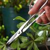 Professional Sharp Garden Scissors Tree Hand Secateurs Garden Fruit-picking Scissors Gardening Scissors Pruning Scissors